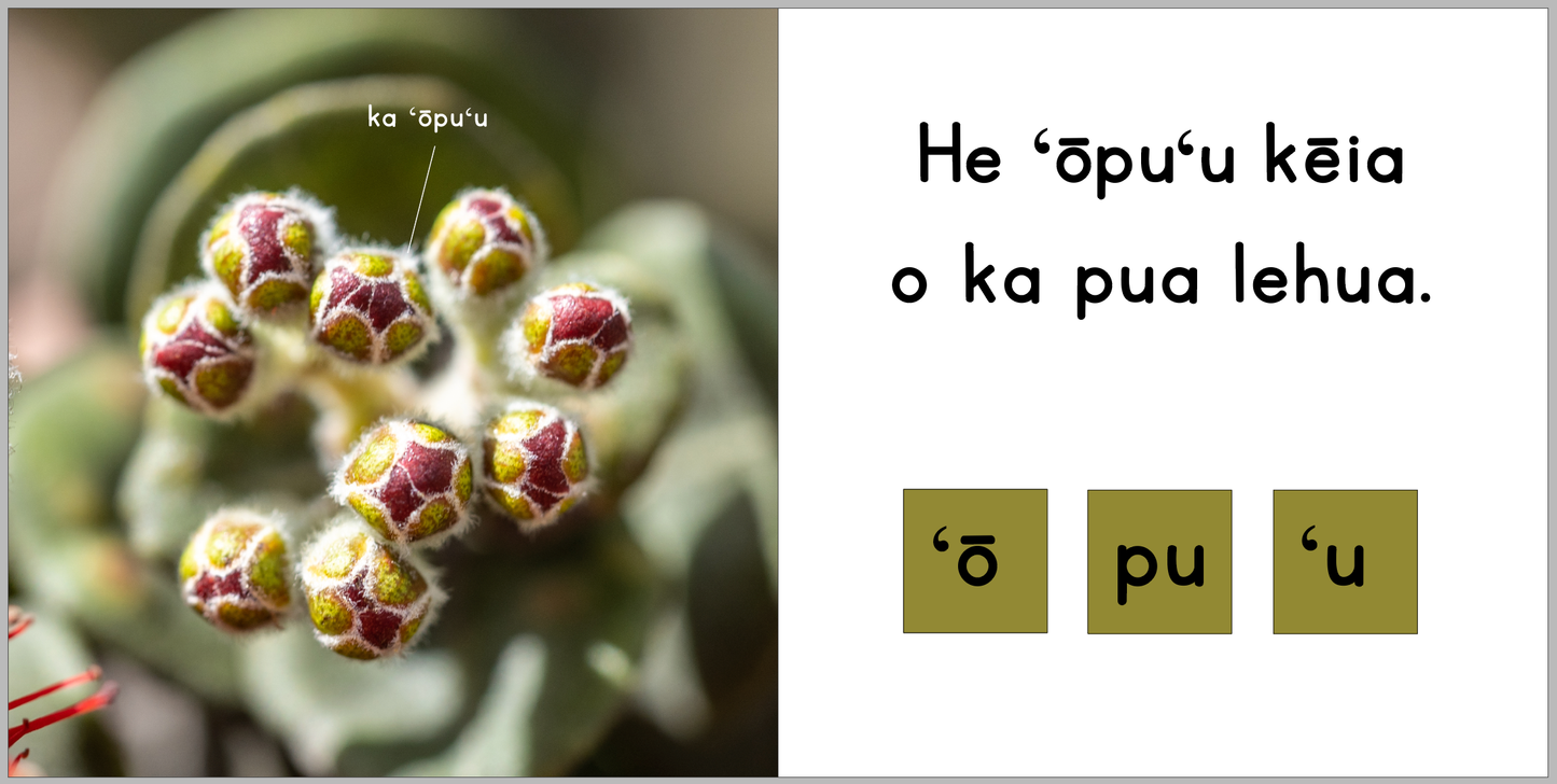 WHOLESALE Ka Lehua