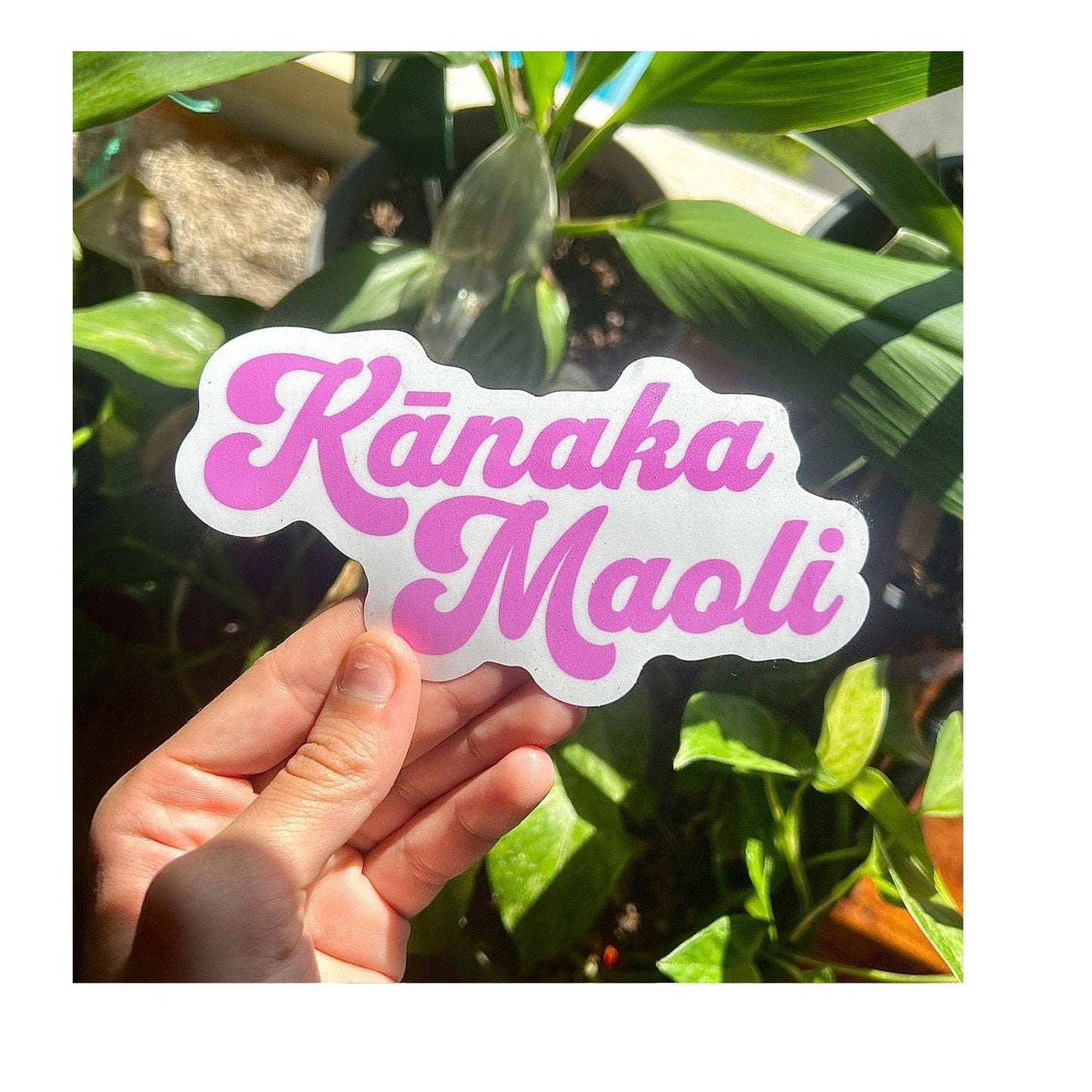 Kanaka Maoli Vinyl Sticker (Pink)