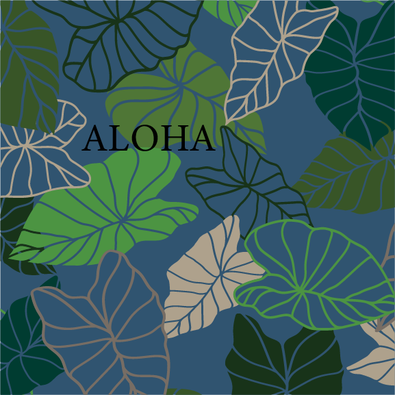 Kalo | 12 oz Vacuum Insulated Can Cooler