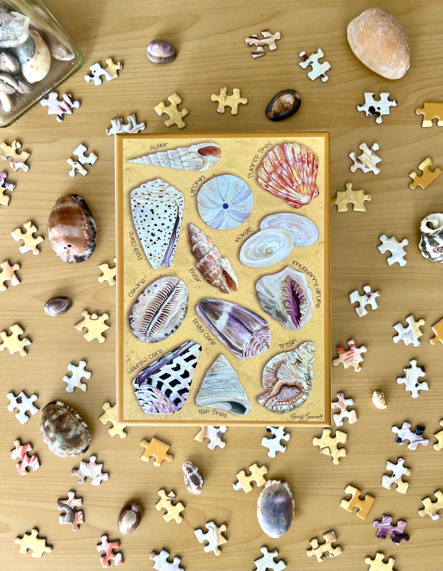 Hawaii Ocean Treasures - 1000 piece puzzle