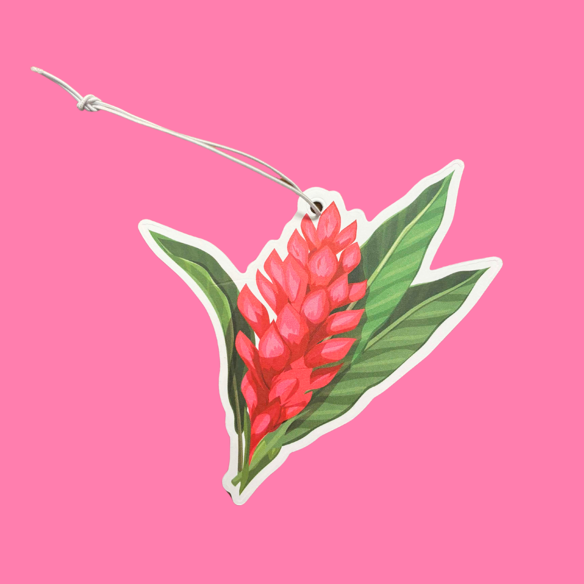 Hawaii Ginger Car Freshener