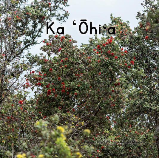 WHOLESALE Ka ʻŌhiʻa