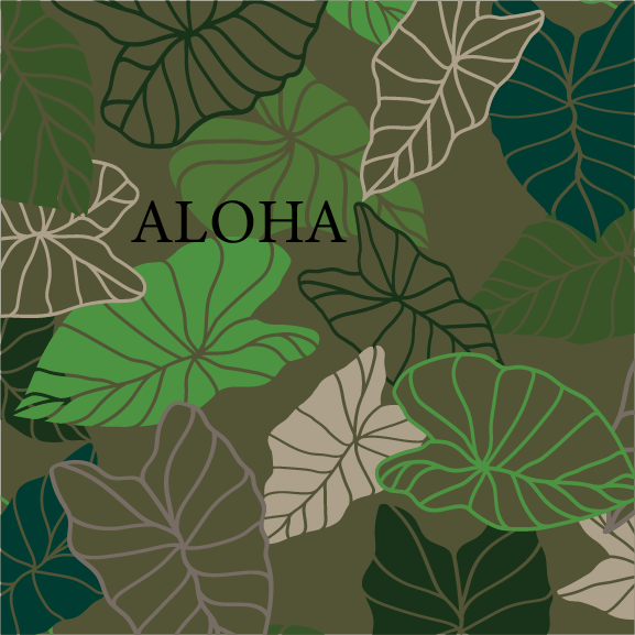 Kalo | 12 oz Vacuum Insulated Can Cooler