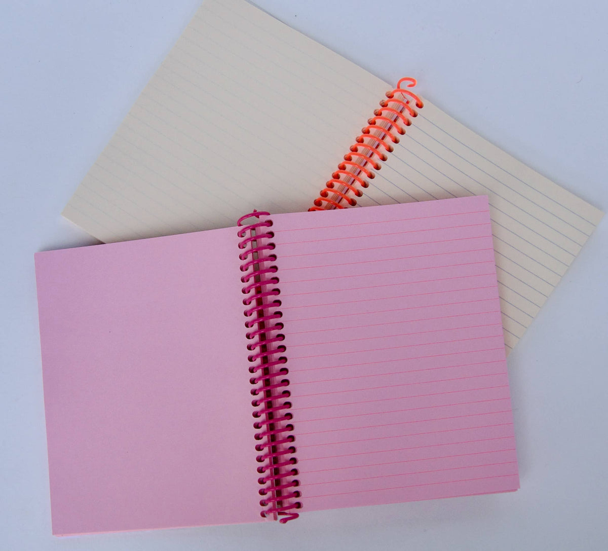 Reef Fish Spiral Bound Riso Lined Notebook