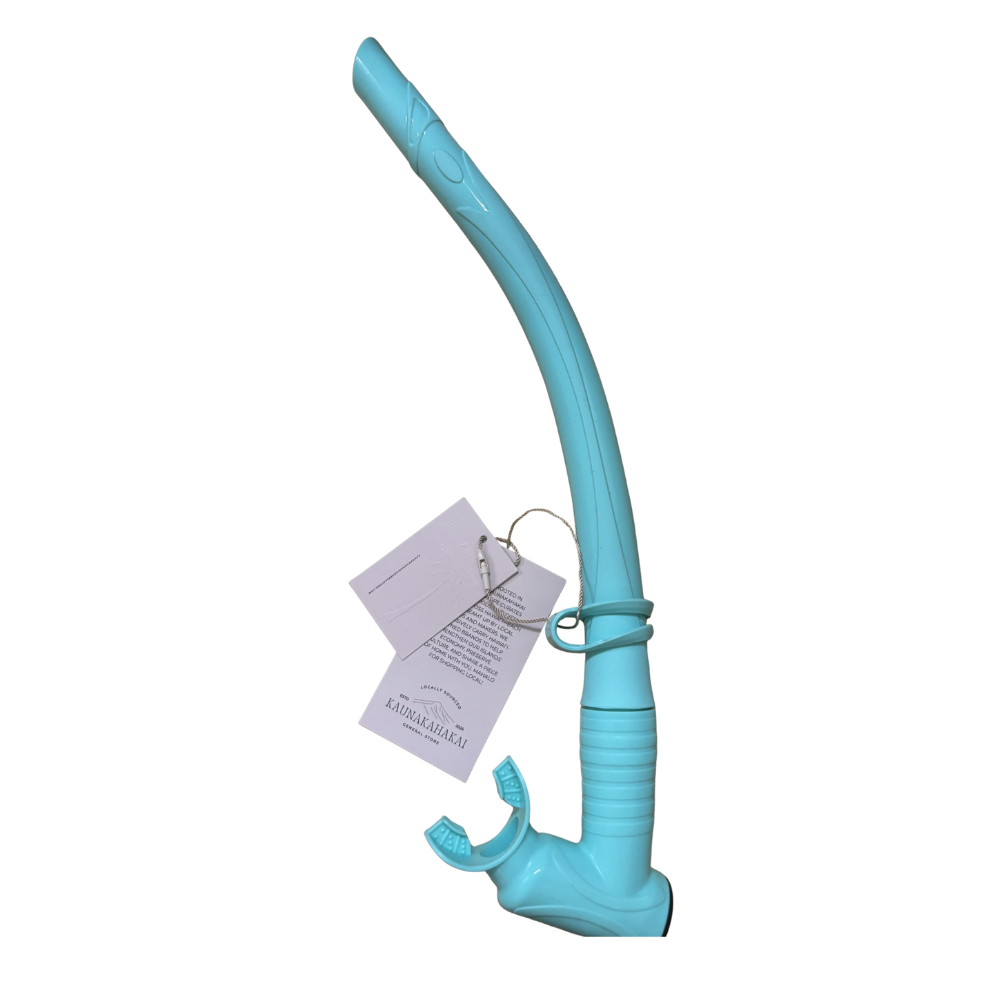 Adult Snorkel