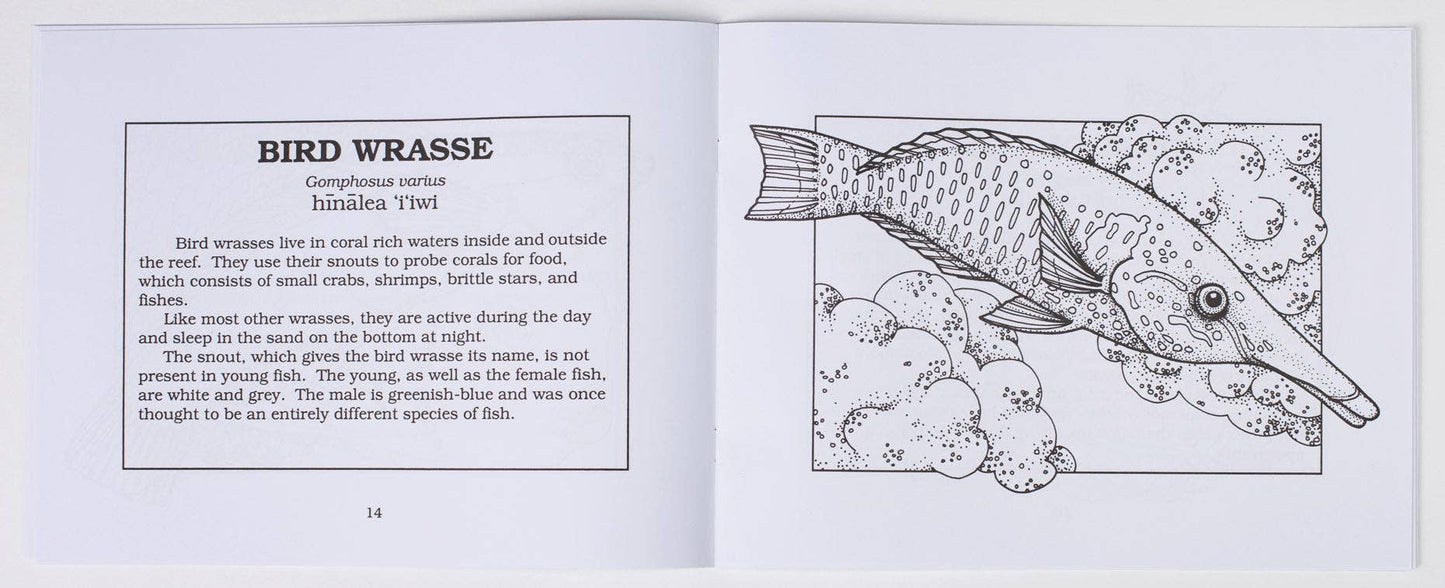 Fishes of Hawaiʻi Coloring Book