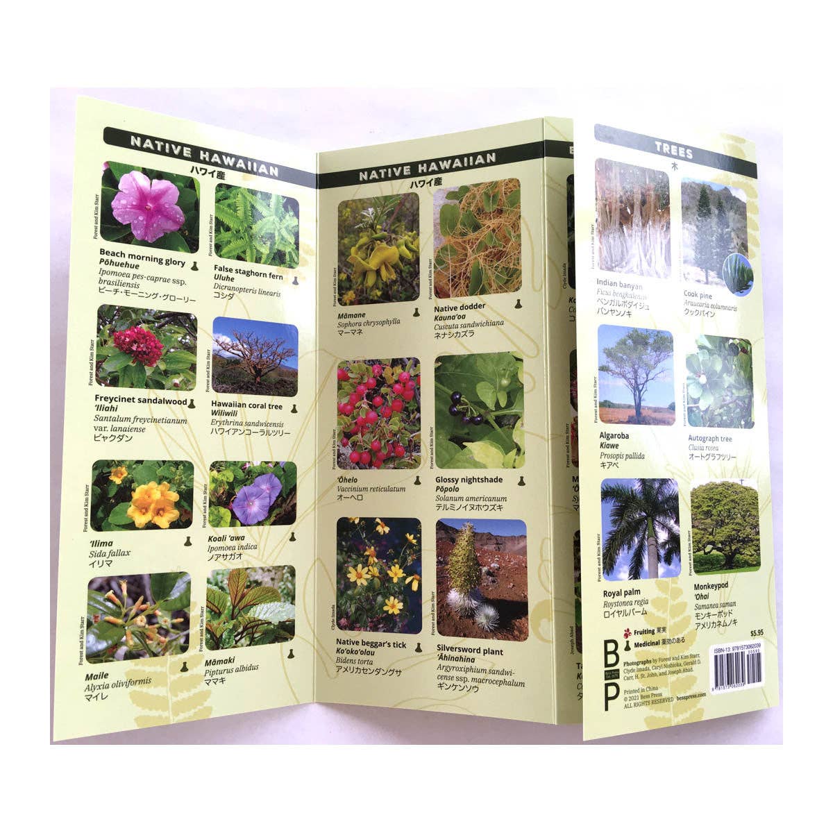 Plants of Hawaii Pocket Guide