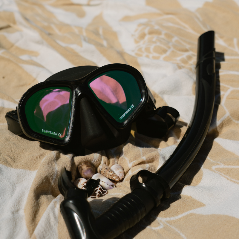 Adult Dive Mask