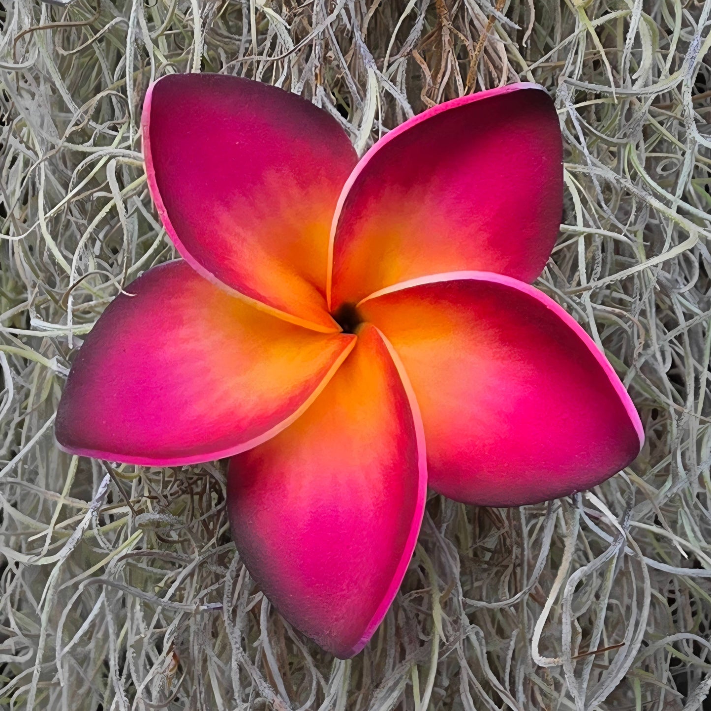 Large  Plumeria Foam Flower Hair Pick, Single Flower