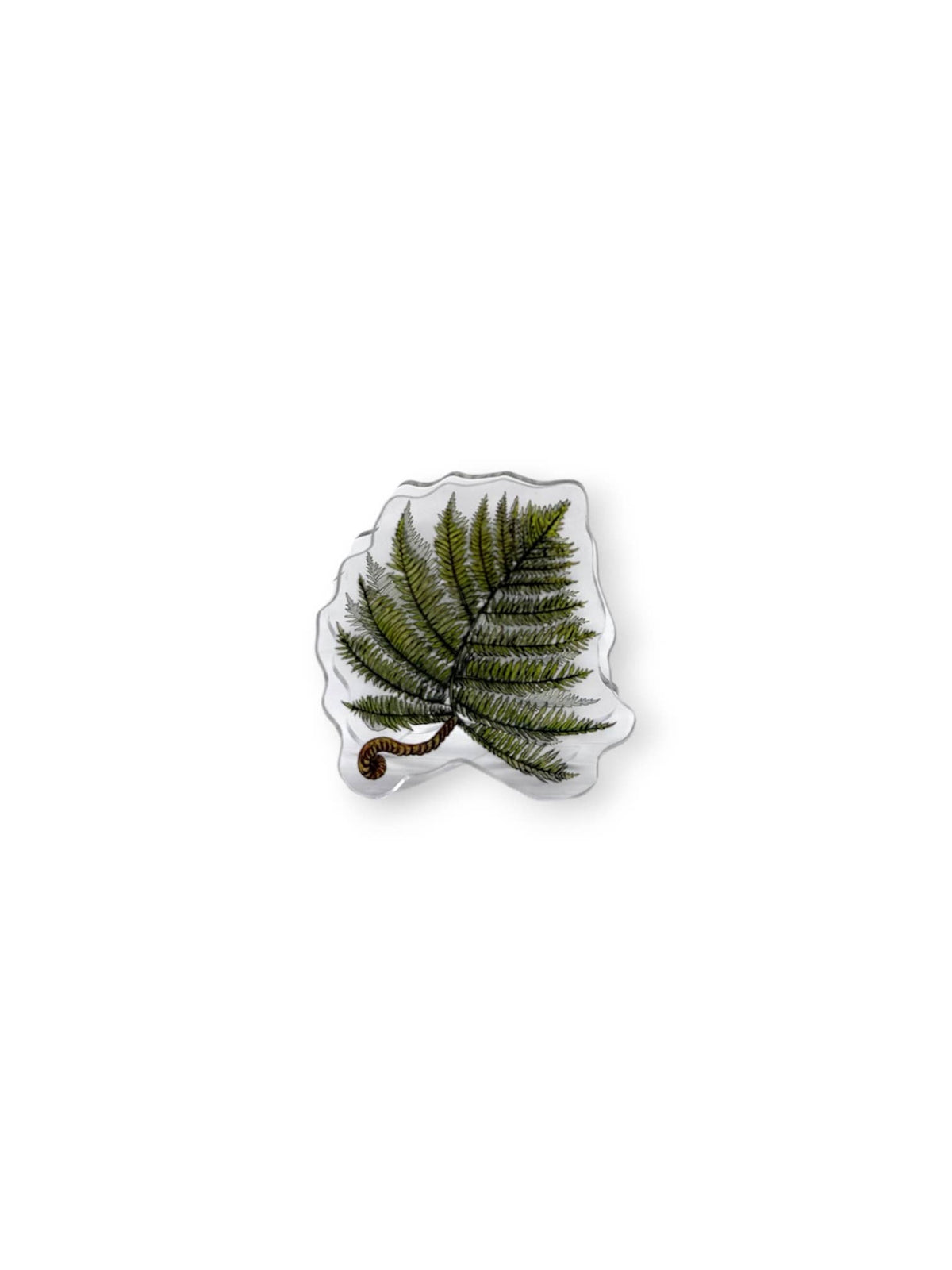 HAPU'U FERN ACRYLIC PAPER CLIP