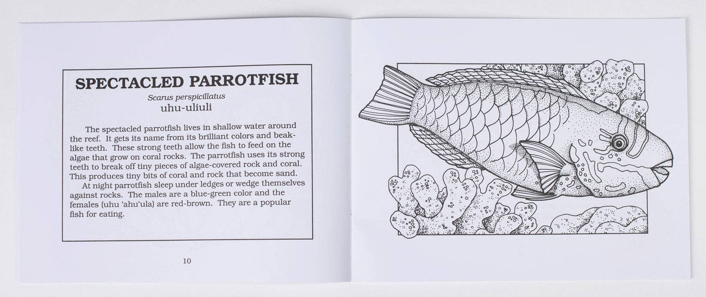 Fishes of Hawaiʻi Coloring Book