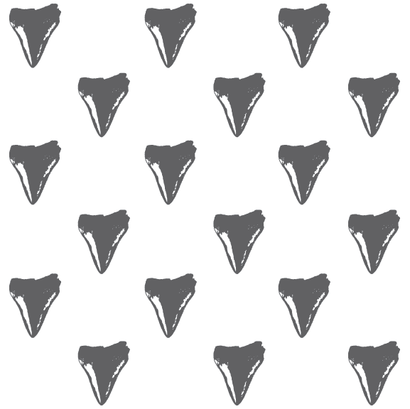 Shark Tooth | 12 oz Slim Vacuum Insulated Can Cooler