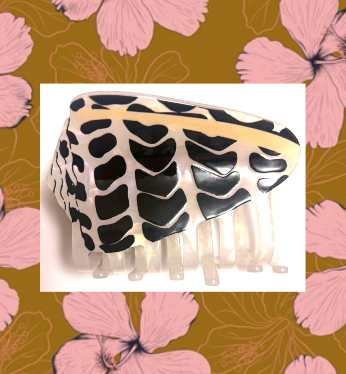 Hebrew Cone Shell Claw Clip