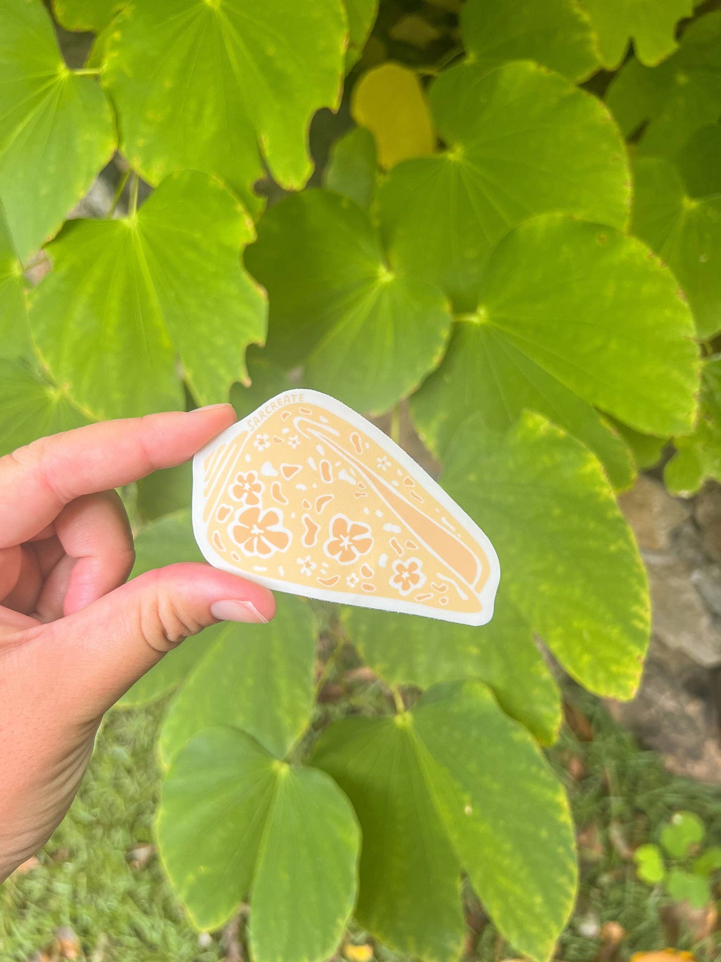 Sticker - Cone Shell