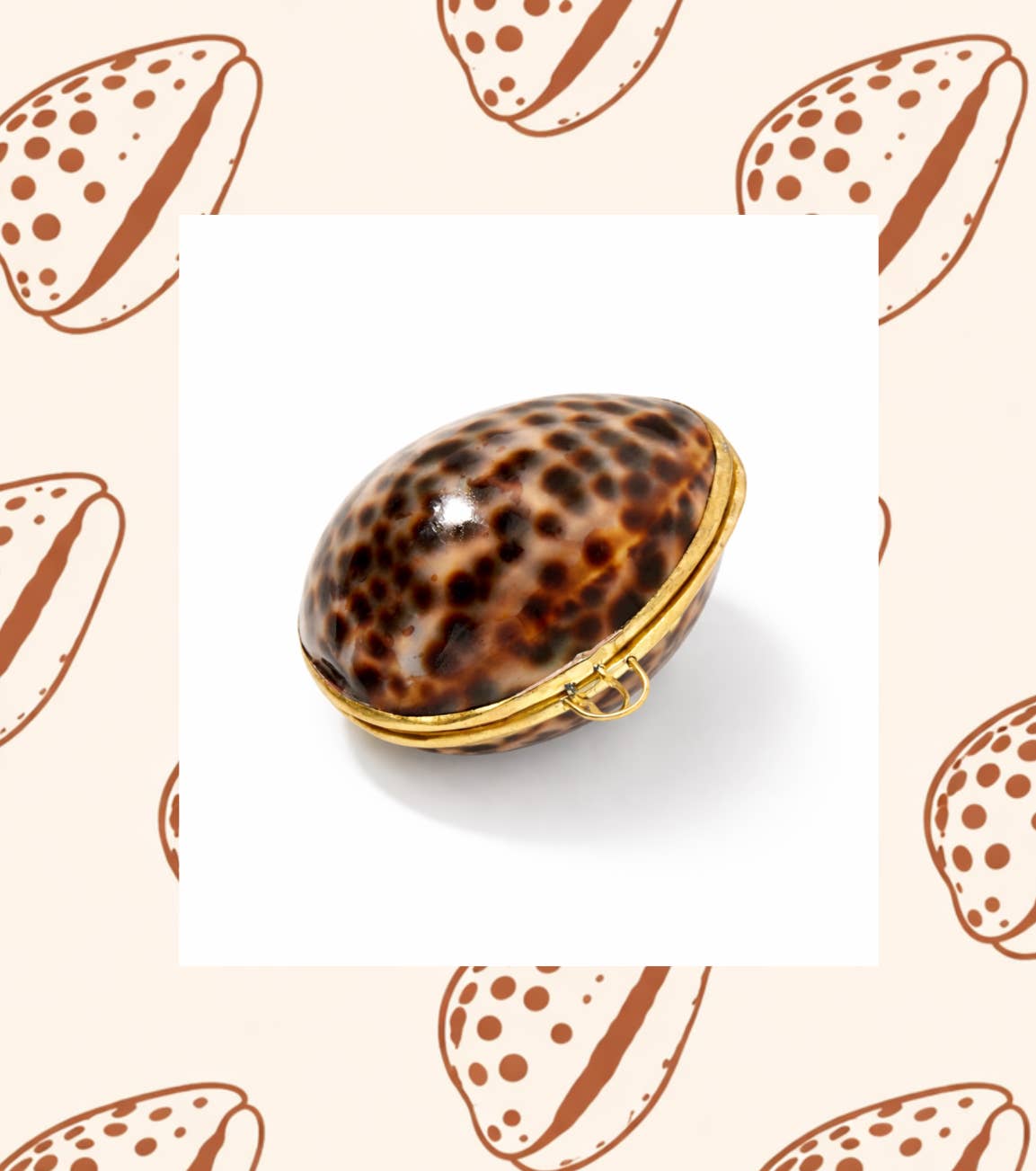 Tiger Cowrie and Clam Jewelry Case 