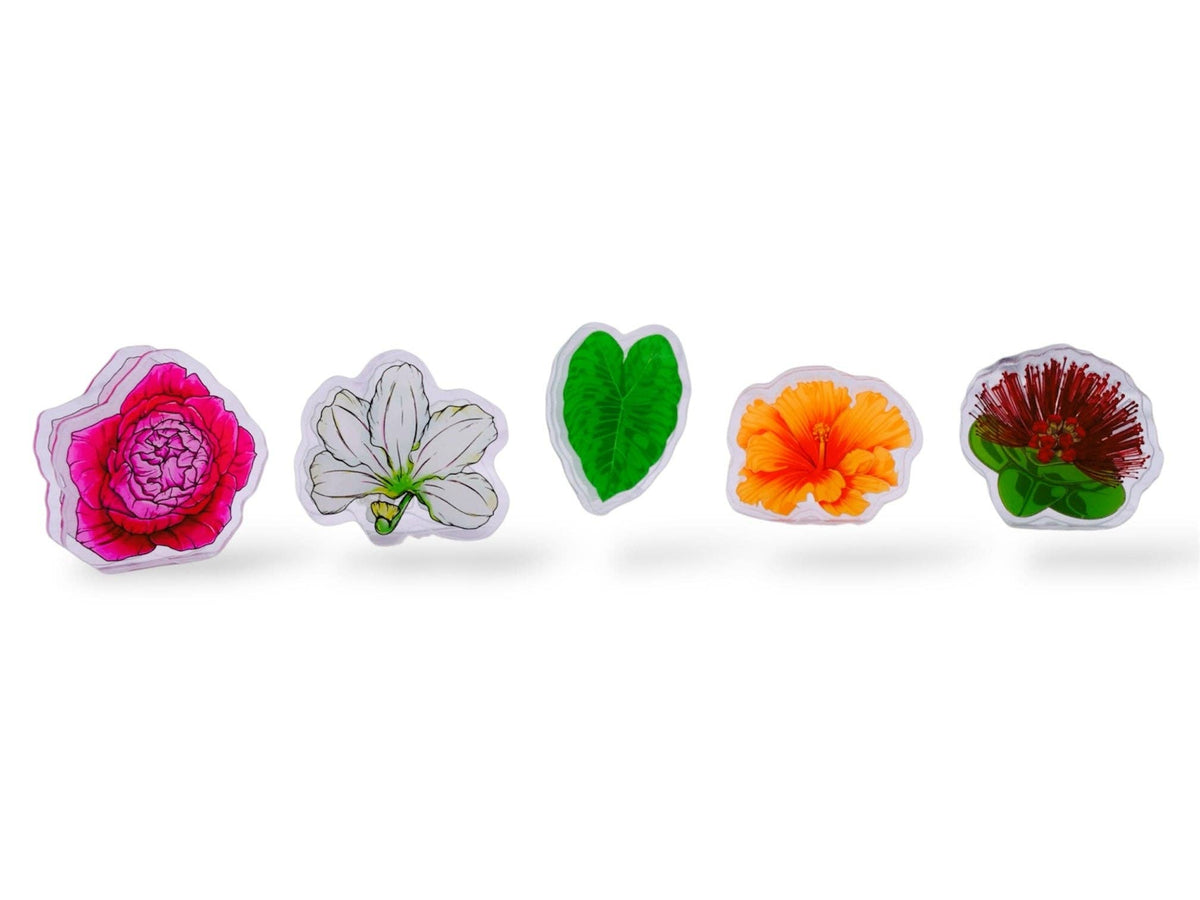 LOKELANI ACRYLIC PAPER CLIP