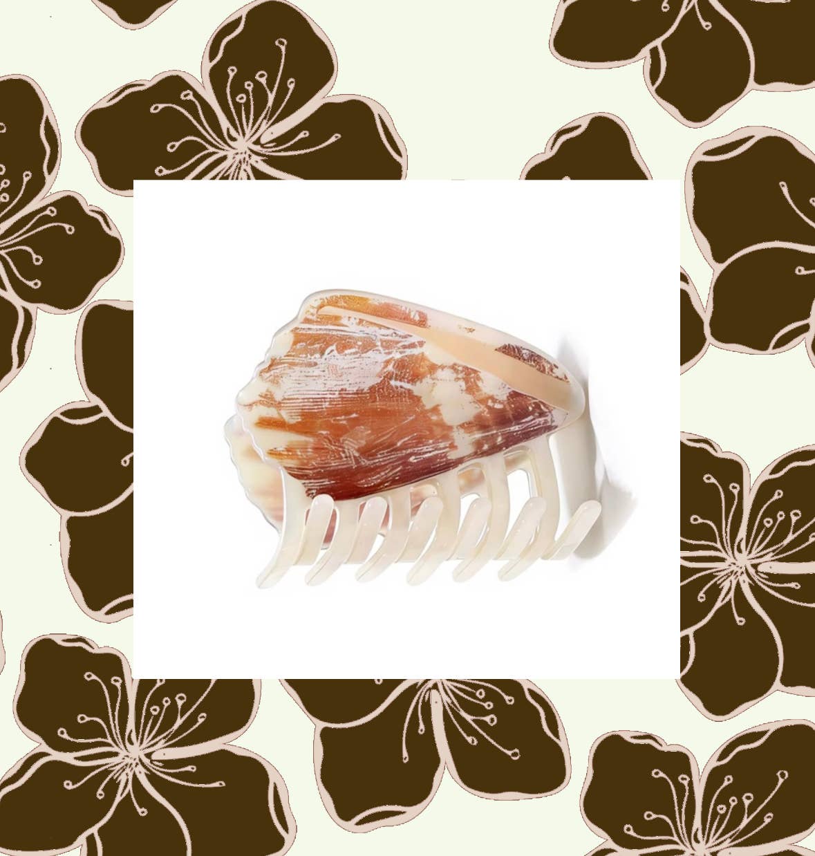 Brown Cone Shell Claw Clip