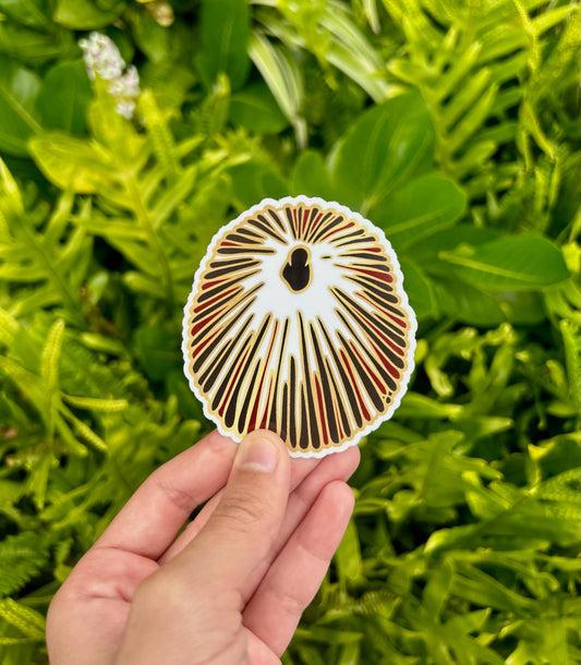 'Ōpihi Vinyl Sticker