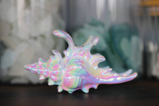 Pearlescent shell hair clip