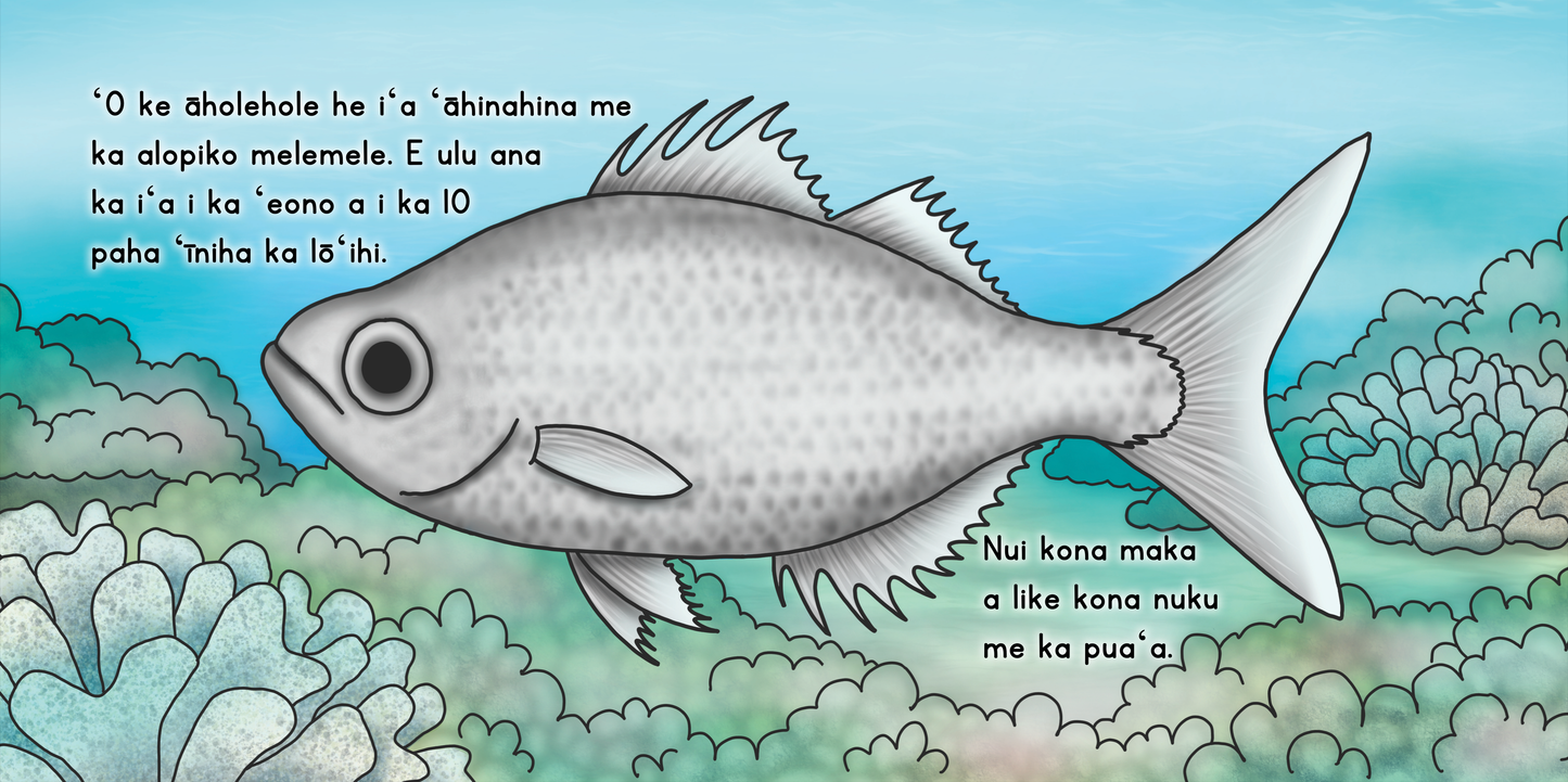 WHOLESALE Ke Āholehole