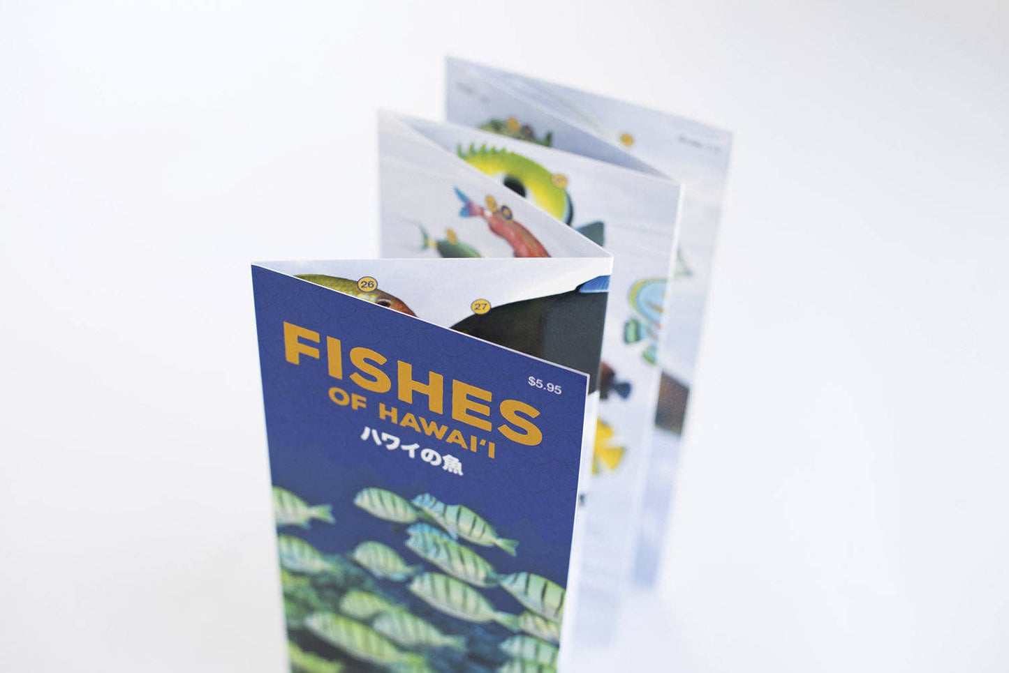 Fishes of Hawaii Pocket Guide