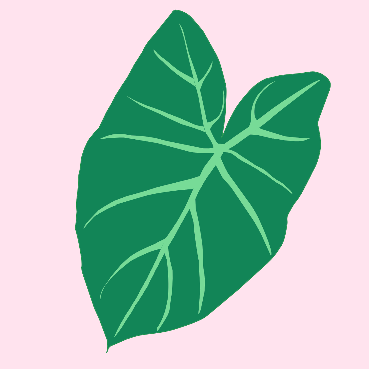 Kalo, Air Freshener