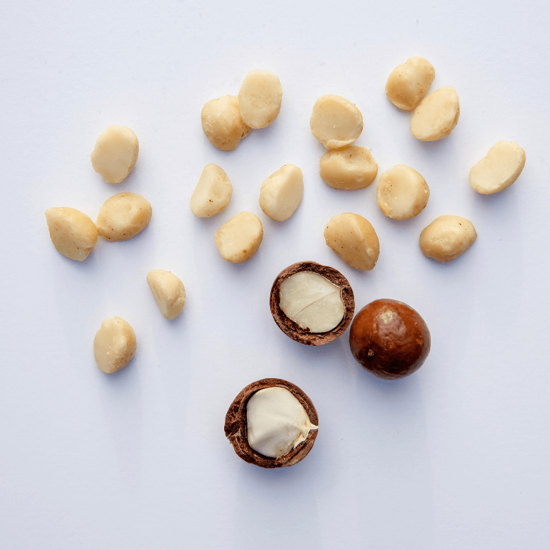 Organic Macadamias with Sea Salt (8oz)