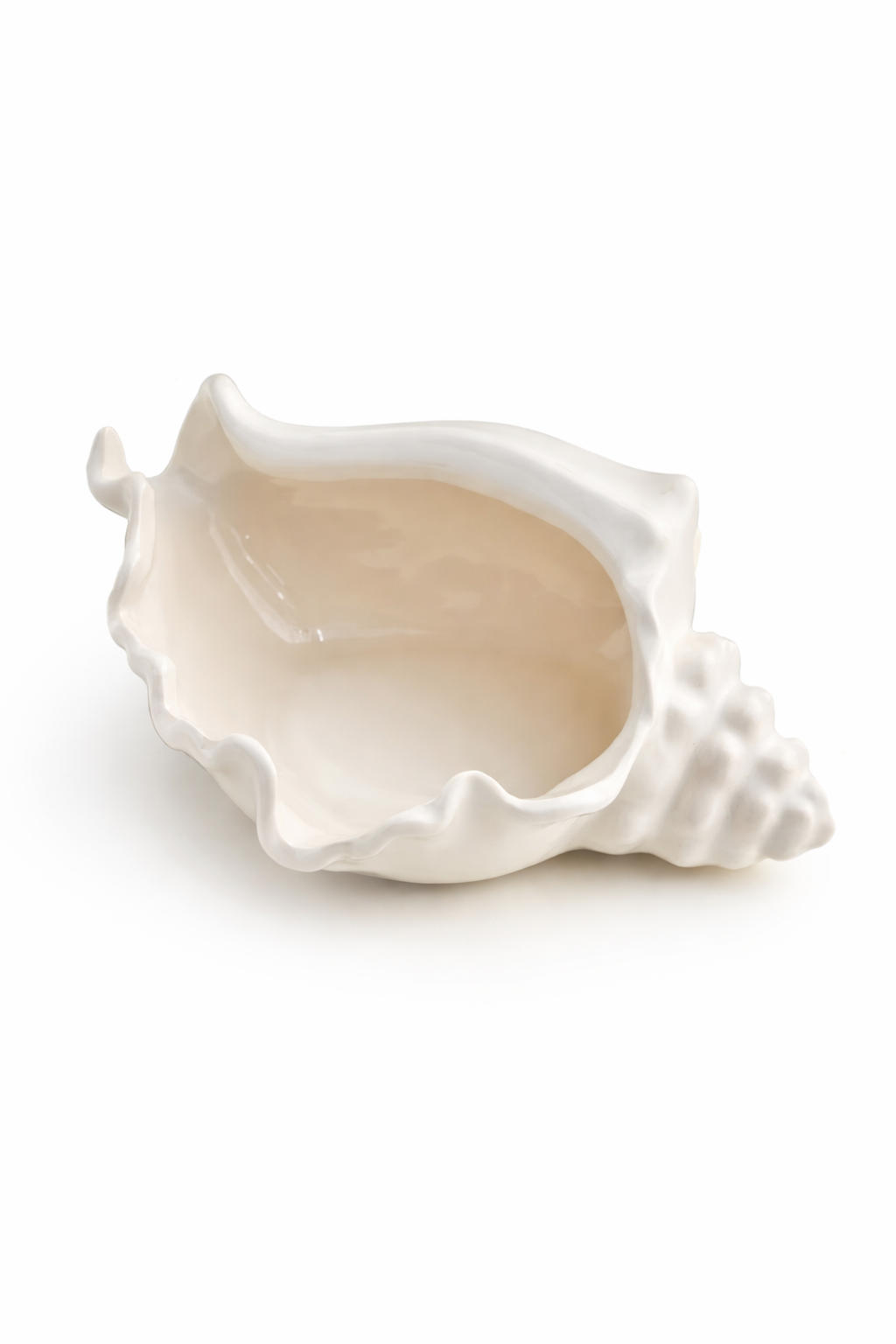 Conch Shell Jewelry Dish