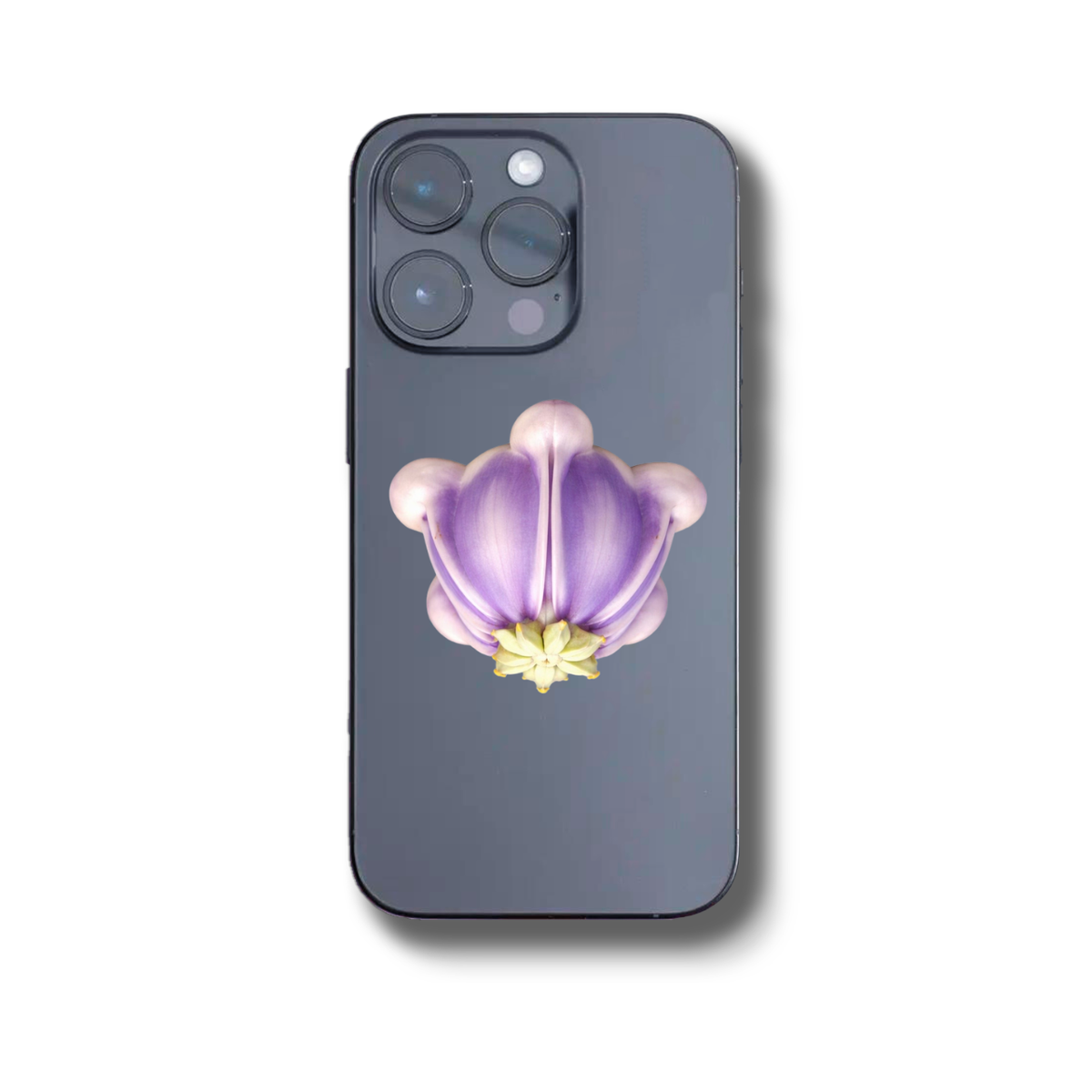 CROWN FLOWER PHONE GRIP ADHESIVE OR MAGNETIC 