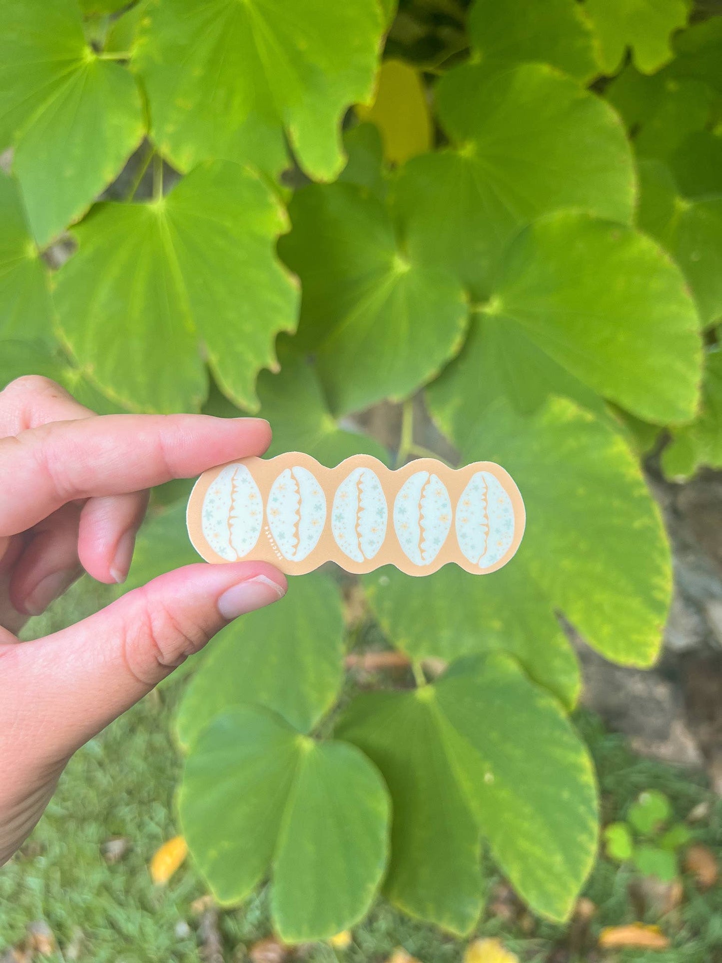 Sticker - Cowrie Shells