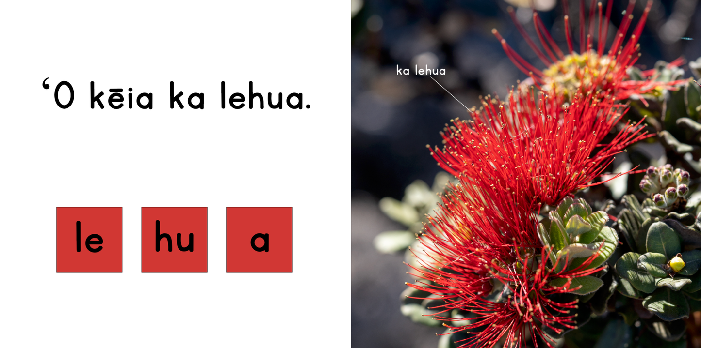WHOLESALE Ka ʻŌhiʻa