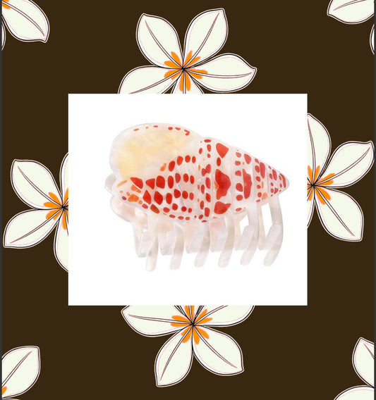 Miter Shell Claw Clip