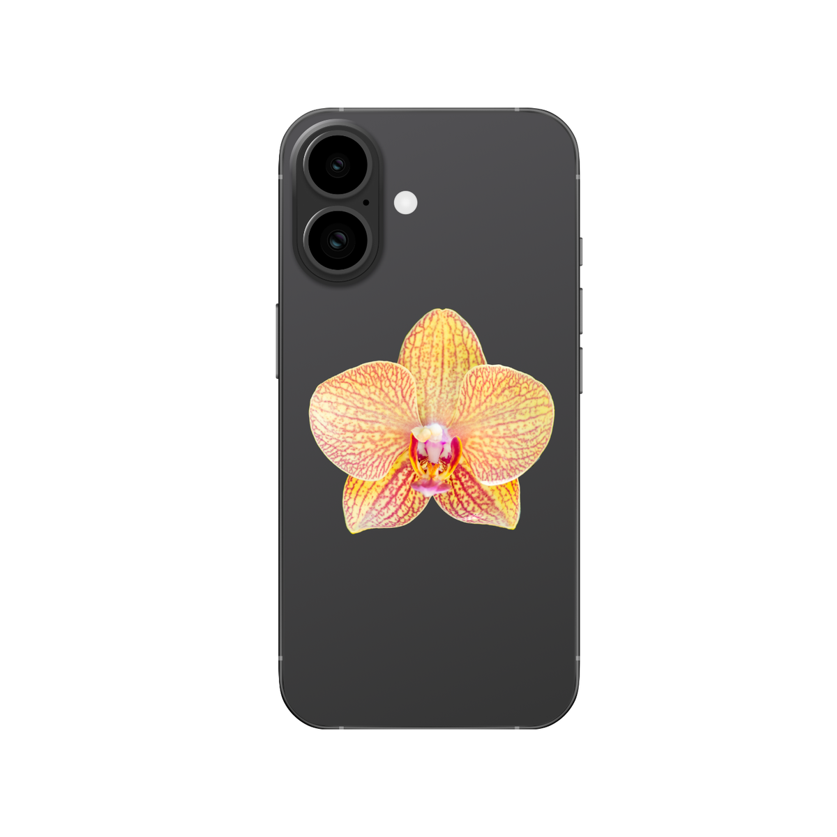 ORCHID PEACH OR PINK PHONE GRIP ADHESIVE OR MAGNETIC