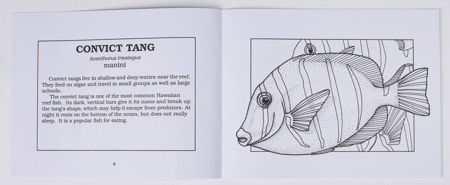 Fishes of Hawaiʻi Coloring Book
