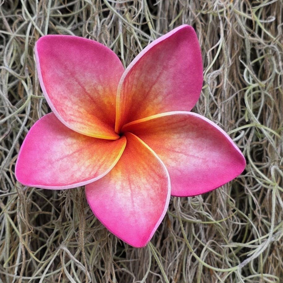 Large  Plumeria Foam Flower Hair Pick, Single Flower