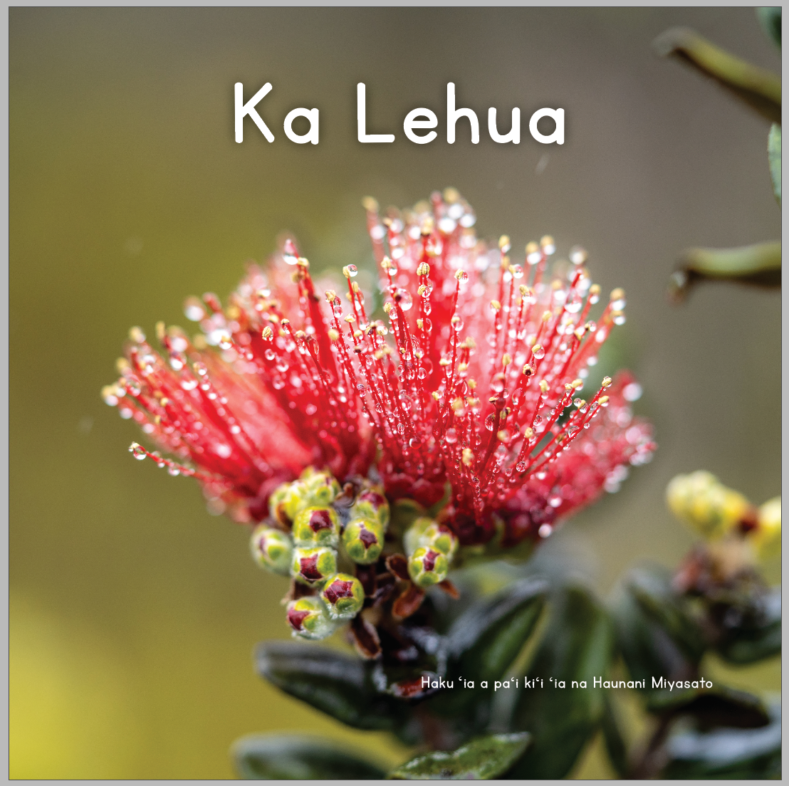 WHOLESALE Ka Lehua
