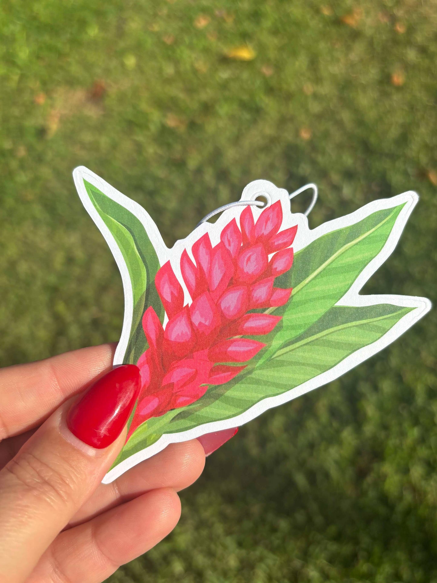 Hawaii Ginger Car Freshener