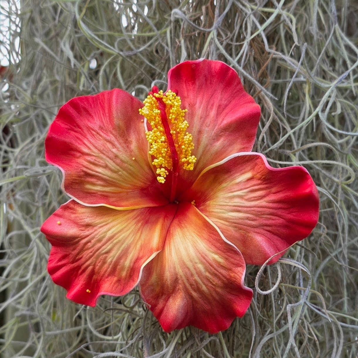 Medium Hibiscus Foam Flower Hair Pick, Single Flower