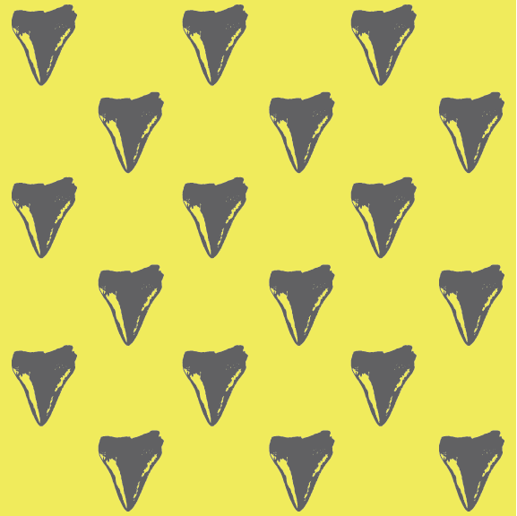 Shark Tooth | 12 oz Slim Vacuum Insulated Can Cooler
