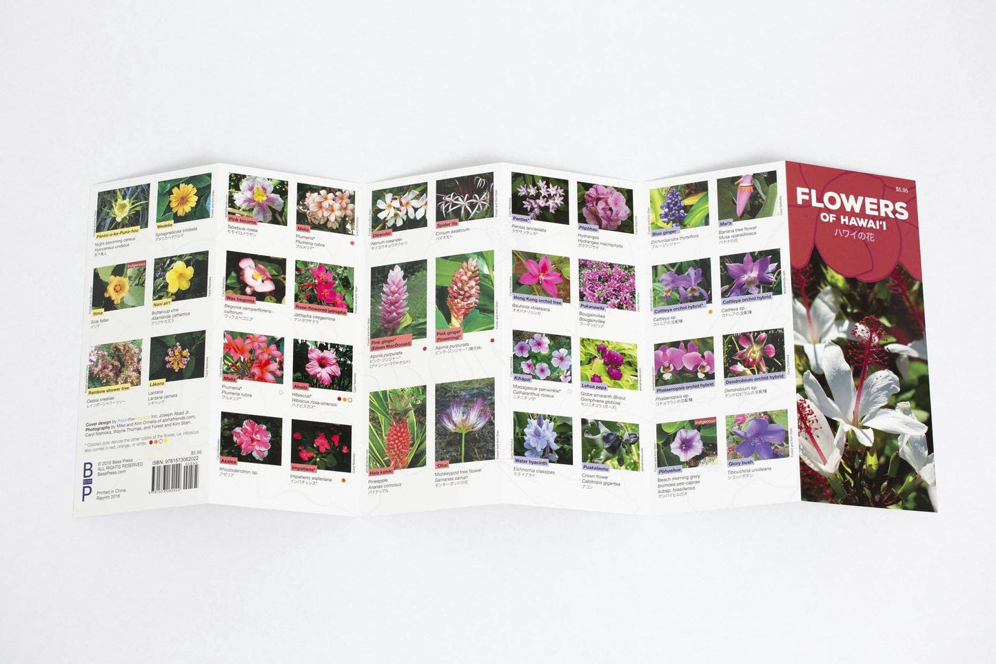 Flowers of Hawaii Pocket Guide
