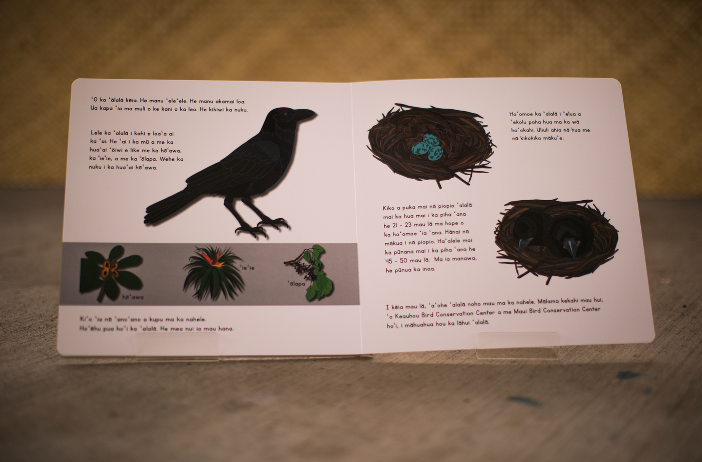 WHOLESALE Ka ʻAlalā