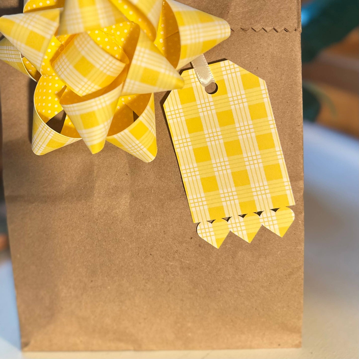 Handmade Paper Gift Tags - Hearts  Set of 6