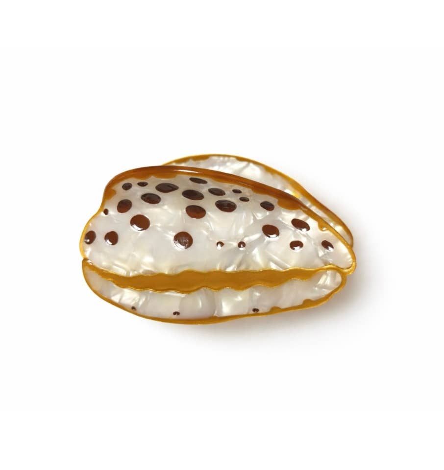 Tiger Cowrie Shell Claw Clip