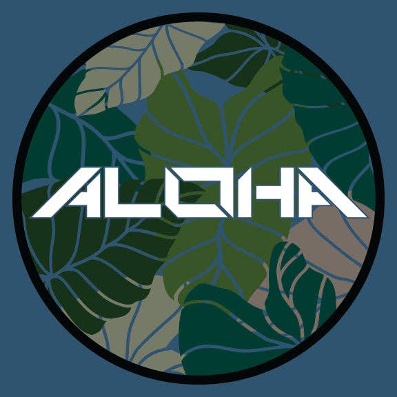 Aloha Kalo | 12 oz Vacuum Insulated Can Cooler